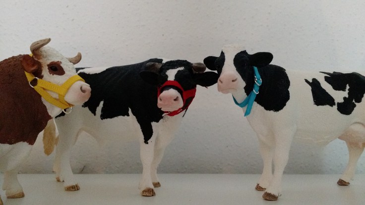 1483434952594-1405251375