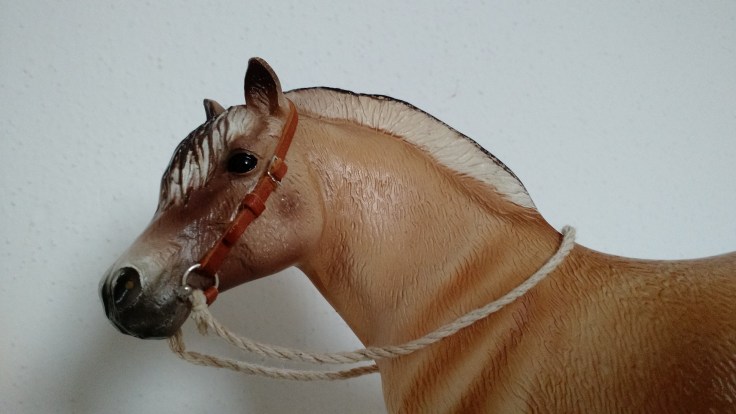 1485593128806-1752047557