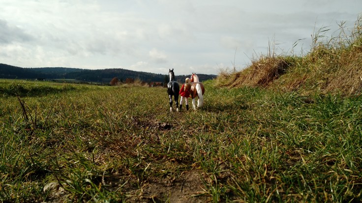 img_20161117_130603381