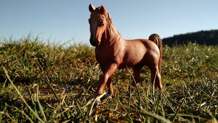 img_20161129_132006421_top