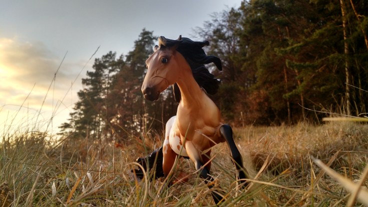 img_20161212_153637881_hdr