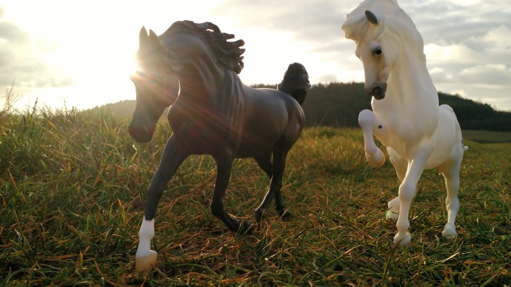 img_20161227_091108537