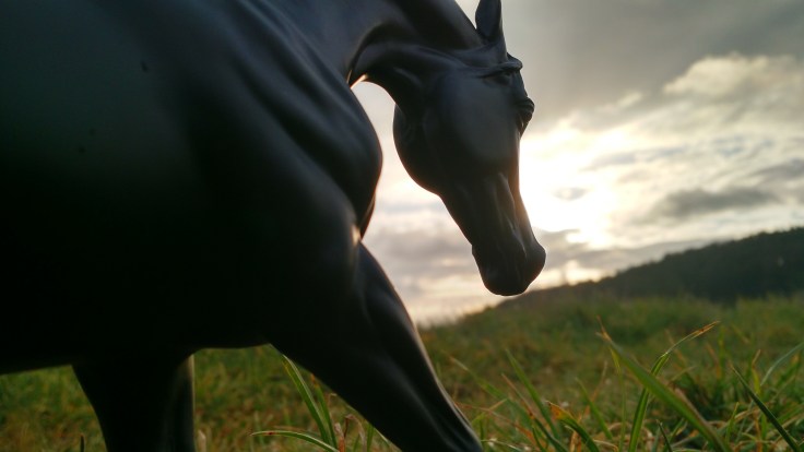 img_20161227_091326308_hdr