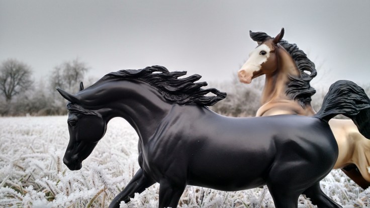 img_20161231_094613754_hdr