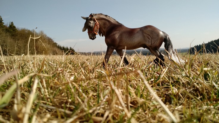 IMG_20170313_142651329