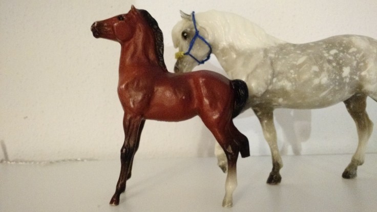 1485369629953-1060088524