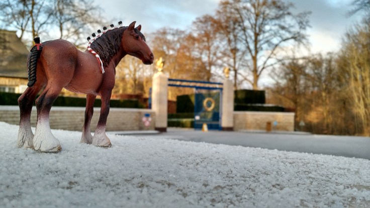 img_20170115_091144190_hdr