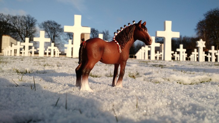 img_20170115_094502137